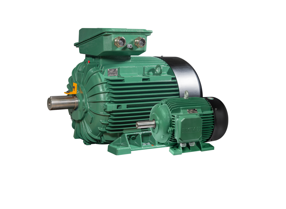 Emtaş NMST Serisi Standart AC Motor