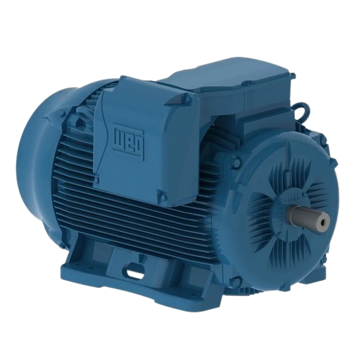WEG Üç Fazlı Asenkron Motor